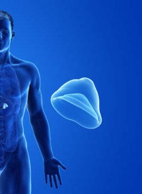 Adrenal Fatigue And Weight Gain: Is There A Connection?